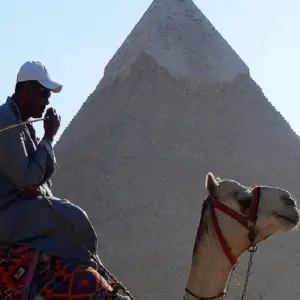 Explore 9 Days Cairo, Alexandria & Nile Cruise Tour Package by Flight for 9 days with Booking To Egypt and discover unforgettable experiences - Photo 9