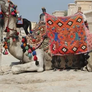 Explore 12 Days Pyramids, Nile Cruise & Hurghada Tour for 12 days with Booking To Egypt and discover unforgettable experiences - Photo 10