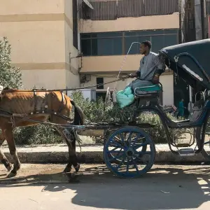 Explore Luxor City Tour By Horse Carriage for 1 days with Booking To Egypt and discover unforgettable experiences - Photo 2