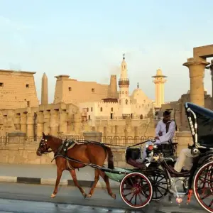 Explore Luxor City Tour By Horse Carriage for 1 days with Booking To Egypt and discover unforgettable experiences - Photo 3