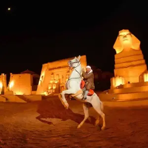 Explore Alf Leila Wa Leila Show Sharm El Sheikh for 1 days with Booking To Egypt and discover unforgettable experiences - Photo 4