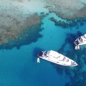 Explore Snorkeling by Boat to Ras Mohamed for 1 days with Booking To Egypt and discover unforgettable experiences - Photo 5