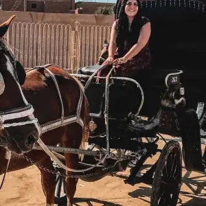 Explore Luxor City Tour By Horse Carriage for 1 days with Booking To Egypt and discover unforgettable experiences - Photo 4