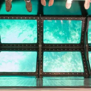 Explore Glass boat, Na’ama Bay over Coral Reef, Near Garden and Far Garden for 1 days with Booking To Egypt and discover unforgettable experiences - Photo 6