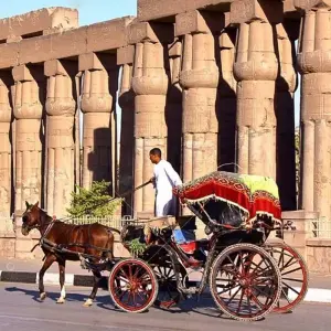 Explore Luxor City Tour By Horse Carriage for 1 days with Booking To Egypt and discover unforgettable experiences - Photo 5