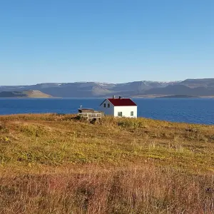 Explore Midnight Sun & Arctic Foxes for 3 days with Borea Adventures and discover unforgettable experiences - Photo 3