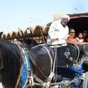 Explore Luxor City Tour By Horse Carriage for 1 days with Booking To Egypt and discover unforgettable experiences - Photo 7