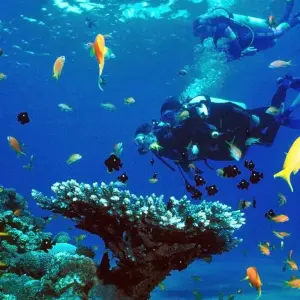 Explore Snorkeling by Boat to Ras Mohamed for 1 days with Booking To Egypt and discover unforgettable experiences - Photo 9