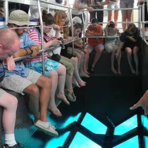 Explore Glass boat, Na’ama Bay over Coral Reef, Near Garden and Far Garden for 1 days with Booking To Egypt and discover unforgettable experiences - Photo 11