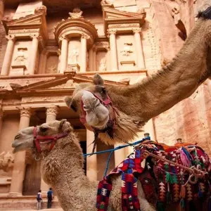 Explore Wadi Rum desert 8 days/7 nights for 8 days with Booking Tours and discover unforgettable experiences - Photo 5