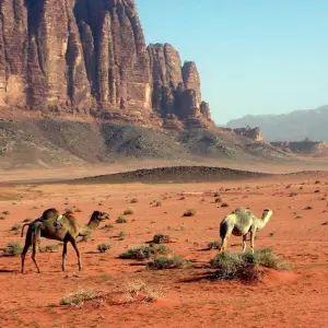 Explore Discover Petra and Wadi Rum in 4 days for 4 days with Booking Tours and discover unforgettable experiences - Photo 4