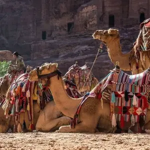 Explore Israel, Jordan and Egypt 5 days for 5 days with Booking Tours and discover unforgettable experiences - Photo 7