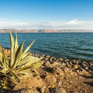 Explore 5 days in Israel for 5 days with Booking Tours and discover unforgettable experiences - Photo 3