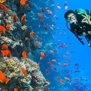 Explore Red Sea Diving 8 days from Amman for 8 days with Booking Tours and discover unforgettable experiences - Photo 4
