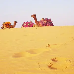 Explore Royal Rajasthan Retreat for 13 days with Bout India and discover unforgettable experiences - Photo 3