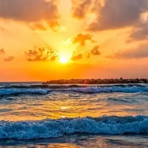 Explore All around Israel, Jordan, and Egypt 20 days (2+Travelers, 3* Hotel) for 20 days with Booking Tours and discover unforgettable experiences - Photo 11