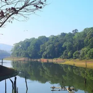 Explore A Heaven Called "Kerala" for 10 days with Bout India and discover unforgettable experiences - Photo 4
