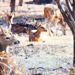 Explore Splendors of Golden Triangle & Rajasthan for 12 days with Bout India and discover unforgettable experiences - Photo 7