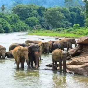 Explore A Heaven Called "Kerala" for 10 days with Bout India and discover unforgettable experiences - Photo 8