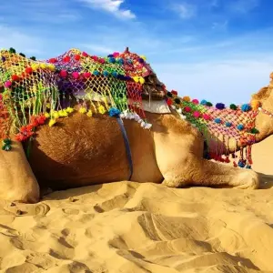 Explore Golden Triangle & Bequest Rajasthan for 10 days with Bout India and discover unforgettable experiences - Photo 8