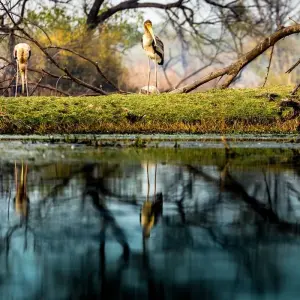 Explore Splendid Golden Triangle & Tigers for 8 days with Bout India and discover unforgettable experiences - Photo 10