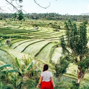 Explore Bali Essence Discovery 5 Days Tour for 5 days with Bravo Indochina Tours and discover unforgettable experiences - Photo 4