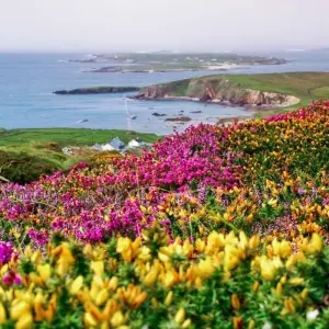 Explore Amazing Ireland for 14 days with Brendan Vacations and discover unforgettable experiences - Photo 11