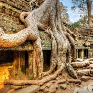 Explore Angkor Cycling and Trekking Tour for 6 days with Bravo Indochina Tours and discover unforgettable experiences - Photo 2