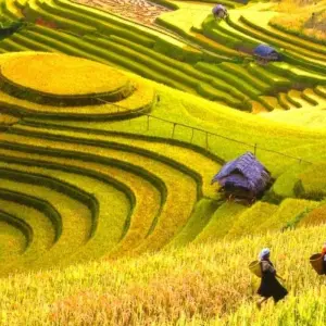 Explore Highlights of Vietnam, Cambodia & Thailand 21 Days for 21 days with Bravo Indochina Tours and discover unforgettable experiences - Photo 2