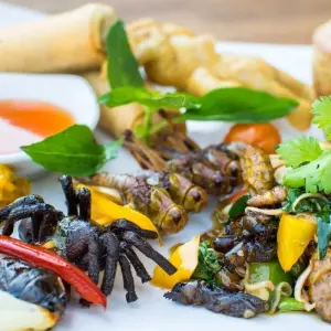 Explore Highlights of Vietnam, Cambodia & Thailand 21 Days for 21 days with Bravo Indochina Tours and discover unforgettable experiences - Photo 4