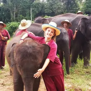 Explore Northern Thailand Discovery 7 Days for 7 days with Bravo Indochina Tours and discover unforgettable experiences - Photo 3