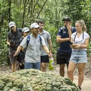 Explore Vietnam Grand Discovery 17 Days for 17 days with Bravo Indochina Tours and discover unforgettable experiences - Photo 3