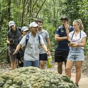 Explore South Vietnam, Phu Quoc Island and Cambodia 14 Days for 14 days with Bravo Indochina Tours and discover unforgettable experiences - Photo 6