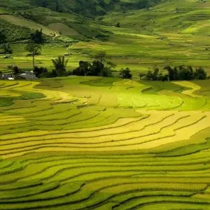 Explore Northern Vietnam Tours with Sapa 7 Days for 7 days with Bravo Indochina Tours and discover unforgettable experiences - Photo 7