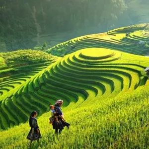 Explore Northern Vietnam Tours with Sapa 7 Days for 7 days with Bravo Indochina Tours and discover unforgettable experiences - Photo 9