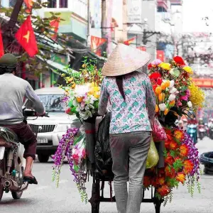 Explore Northern Vietnam Tours with Sapa 7 Days for 7 days with Bravo Indochina Tours and discover unforgettable experiences - Photo 11