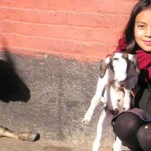 Explore Kathmandu Valley Highlights for 6 days with Broad Adventure Pvt. Ltd. and discover unforgettable experiences - Photo 8