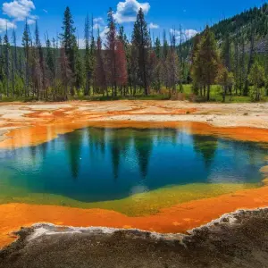 Explore Yellowstone / Grand Teton 4 Day / 3 Night Wildlife Adventure for 4 days with BrushBuck Wildlife Tours and discover unforgettable experiences - Photo 5