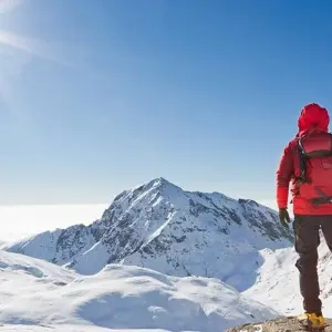 Explore Alaska: Ocean Wildlife to Interior Wilderness Adventure - 9 Days for 9 days with BrushBuck Wildlife Tours and discover unforgettable experiences - Photo 6