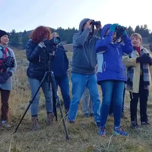 Explore Yellowstone / Grand Teton 4 Day / 3 Night Wildlife Adventure for 4 days with BrushBuck Wildlife Tours and discover unforgettable experiences - Photo 7