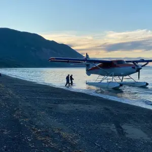 Explore Alaska: Ocean Wildlife to Interior Wilderness Adventure - 9 Days for 9 days with BrushBuck Wildlife Tours and discover unforgettable experiences - Photo 7