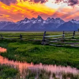 Explore Grand Teton / Yellowstone National Parks 2 Day / 1 Night Wildlife Adventure for 2 days with BrushBuck Wildlife Tours and discover unforgettable experiences - Photo 10