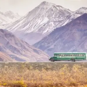 Explore Anchorage: Kenai Fjords & Denali National Park 5 Day/4 Night Adventure for 5 days with BrushBuck Wildlife Tours and discover unforgettable experiences - Photo 6