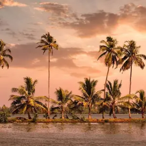 Explore INDIA – The Magical Kerala Tour for 8 days with Bucket List Group Travel LLC and discover unforgettable experiences - Photo 2