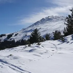 Explore Balkan Explorer – 10 countries in 17 Days for 17 days with Bucket List Group Travel LLC and discover unforgettable experiences - Photo 4