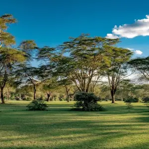 Explore Kenya – 9 Days Discovery Safari Adventure for 9 days with Bucket List Group Travel LLC and discover unforgettable experiences - Photo 2