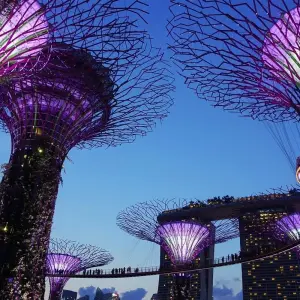 Explore Singapore & Malaysia Highlights for 7 days with Bucket List Group Travel LLC and discover unforgettable experiences - Photo 5