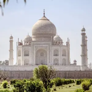 Explore INDIA Golden Triangle with Tiger Safari for 8 days with Bucket List Group Travel LLC and discover unforgettable experiences - Photo 4