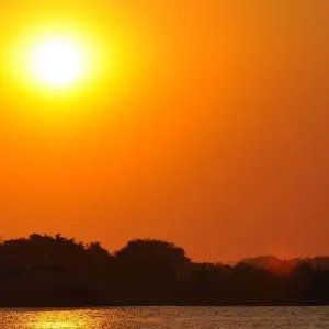 Explore Zimbabwe Explorer – 12 Days Victoria Falls Ruins Parks and Cities for 12 days with Bucket List Group Travel LLC and discover unforgettable experiences - Photo 3