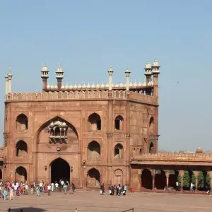 Explore INDIA Golden Triangle with Tiger Safari for 8 days with Bucket List Group Travel LLC and discover unforgettable experiences - Photo 5